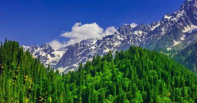 Kashmir Leh Ladakh Tour Package From Srinagar Airport - Best Offer From Adorable vacation LLP - Kolkata Other