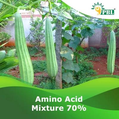 AMINO ACID MIXTURE-70% | Peptech Bioscience Ltd | Manufacturer And Exporter