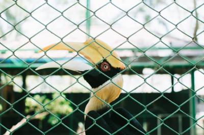  Best Anti bird nets in Bangalore-Chris Enterprises