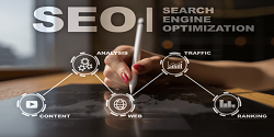 Professional SEO services company in Delhi - Delhi Computer