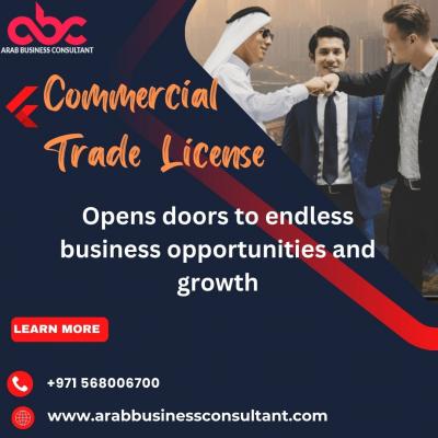 Commercial trade license in Dubai  - Delhi Computer