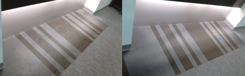 Carpet cleaning services Adelaide - Adelaide Professional Services