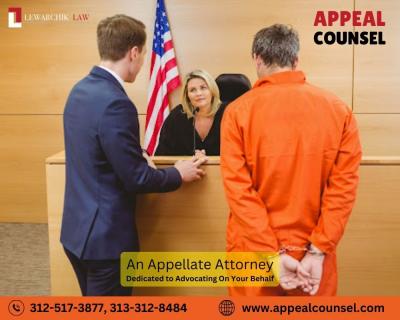 Best Criminal Appeal Lawyers | Appeal Counsel - Chicago Lawyer