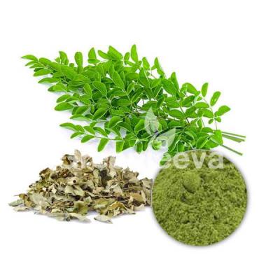 Wholesale Organic Moringa Leaf Powder - Other Other