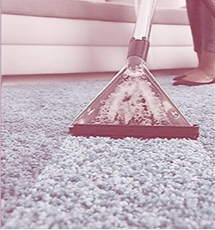 Professional Carpet Cleaning Services in Toronto - Get Your Carpets Looking Like New