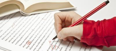 Professional proofreading services to perfect your essay.