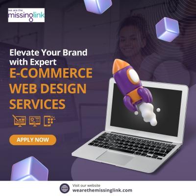 Elevate Your Brand with Expert E-Commerce Web Design Services