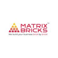 Expert social media marketing services in USA - Matrix Bricks