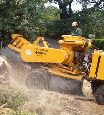 Tree Cutting & Removal at Discounted Rates - New York Other