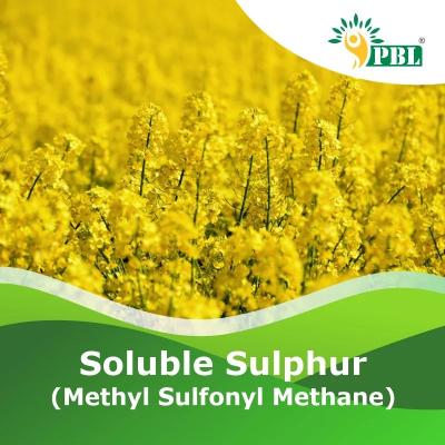 SOLUBLE SULPHUR | Peptech Bioscience Ltd | Manufacturer And Exporter