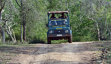 Bandipur Tiger Reserve | Bandipur Tour Packages - Melbourne Other