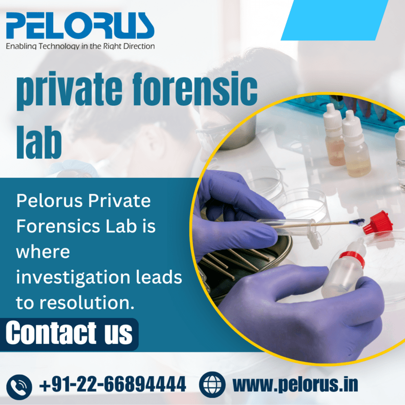 Pelorus | Private forensic lab - Mumbai Computer