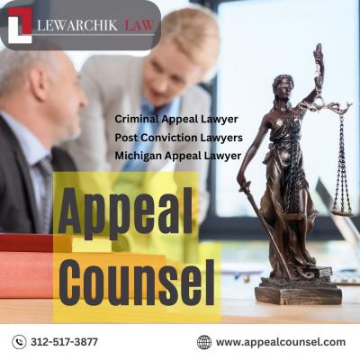 Michigan Appeal Lawyer | Appeal Counsel - Chicago Lawyer
