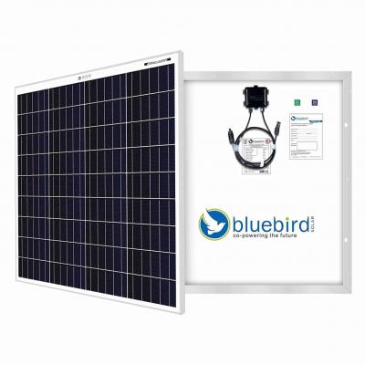Bluebird 100W Solar Panel: Efficient Solar PV Modules for Renewable Energy Solutions
