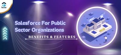 Salesforce Solutions for Public Sector Excellence