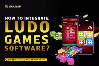 Ludo Game Software Integration in UK