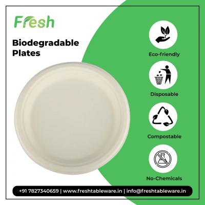 Eco-Friendly Biodegradable Plates for Sustainable Events