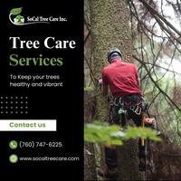 Expert Tree Care Services - Other Other