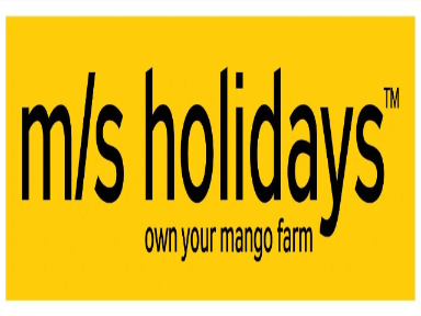 Mango Farming Chennai | Mango Farmland for Sale - M/S Holidays Farm - Chennai Other