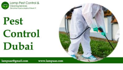 Pest control Dubai