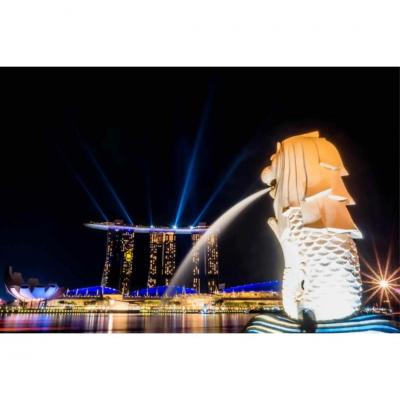 Visit Singapore's Top Tourist Destinations with Nitsa Holidays' Singapore trip package for family.