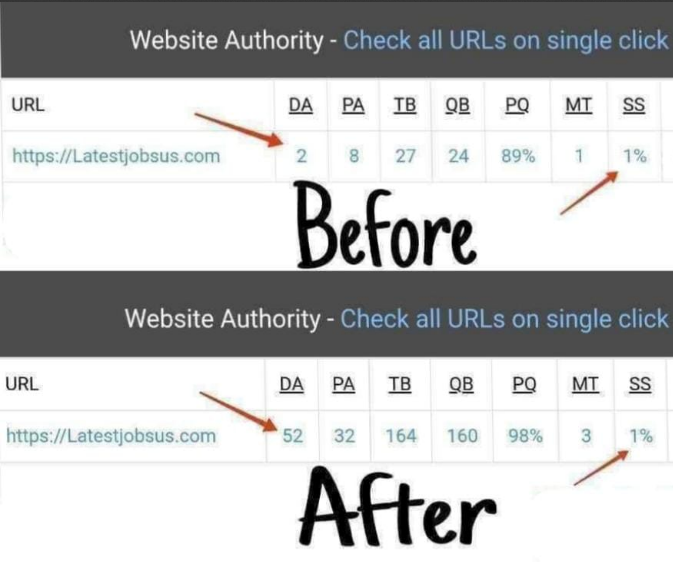 Website DA (Domain Authority) increase service upto 30