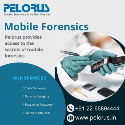 Pelorus|Mobile Forensics - Mumbai Computer