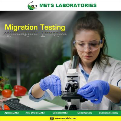 Migration Testing Lab - Gurgaon Other