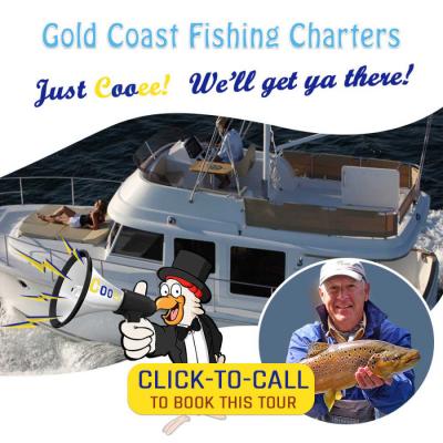Looking For The Cooee Fishing Tours in Brisbane