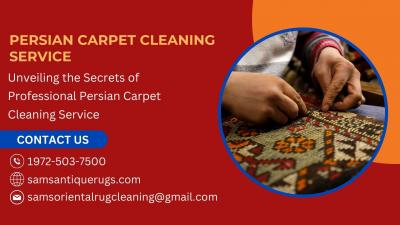 Unveiling the Secrets of Professional Persian Carpet Cleaning Service - Dallas Other