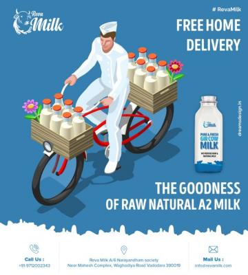 Buy Pure Desi Cow Milk Near Me | Fresh and Healthy A2 Milk Available - Vadodara Other