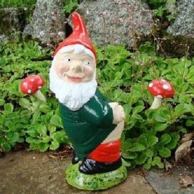 Charming Small Gnomes: Discover Pixieland's Whimsical Collection - London Home & Garden