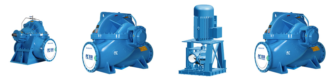 Ideal for High-Flow Applications: Dual Suction Pump - Beijing Electronics