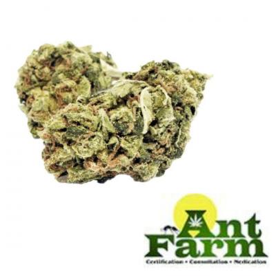 Best Cannabis Products Delivery in Detroit by Ant Farm Collection Club
