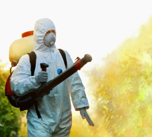 Pest Exterminators Perth