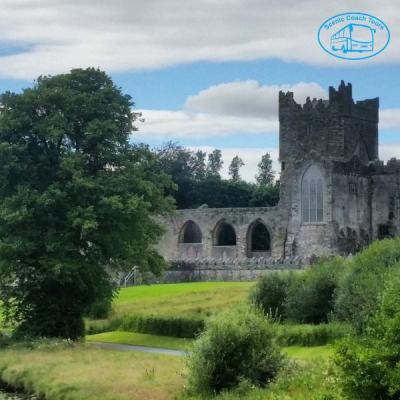 Bespoke Coach Tours: Discover the Beauty of Ireland with Us! - Carlow Professional Services