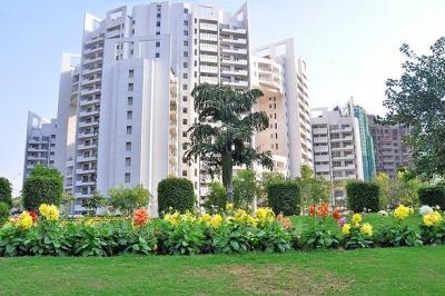 Luxury Service Apartment for Rent in Gurgaon - Gurgaon Apartments, Condos