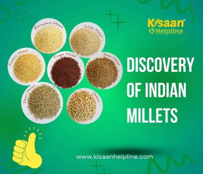 Discovery of Indian Millets - Nutritional Powers Unveiled - Indore Professional Services