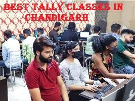 Best Tally Classes In Chandigarh - Chandigarh Other