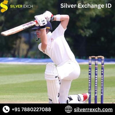 Silver Exchange ID: The Best Place to Play Online Betting Games - Delhi Sports, Bikes