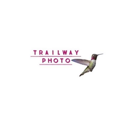 Trailway Photography: Capturing the World in Close-Up Macro