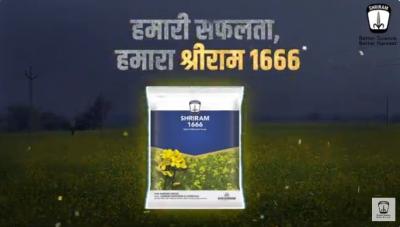 Optimize Yields: Shriram 1666 Mustard Seeds - Gurgaon Other