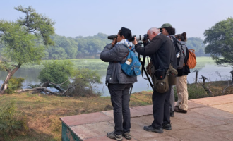 One Day Trip Near Delhi | Birding In Sultanpur