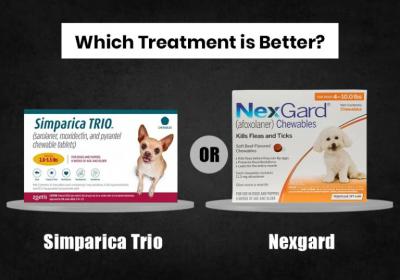 Simparica Trio or Nexgard, Which Treatment is Better?