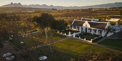 Discover the Charm of Vergenoegd Low Wine Estate - Cape Town Other