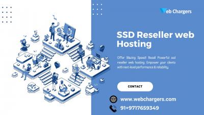 Next-Gen Reseller Hosting: Attract Clients with SSDs 