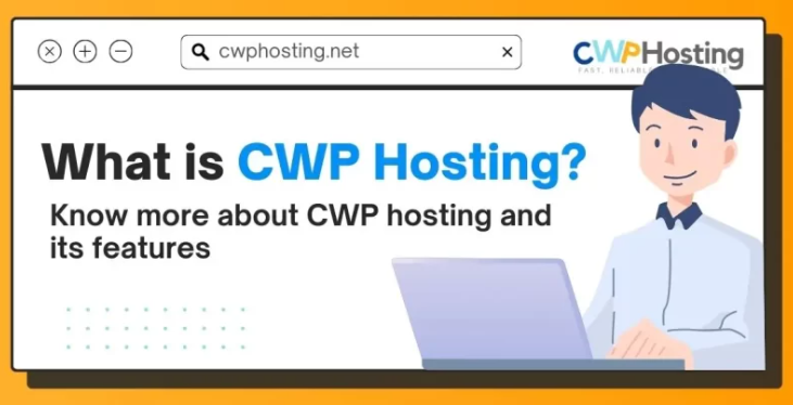 Unveiling CWP Hosting: Empowering Websites with Powerful Features - Delhi Hosting