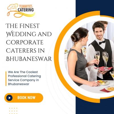 Bhubaneswar on a Plate: Yummyies Catering Captures the City's Culinary Spirit! - Bhubaneswar Professional Services