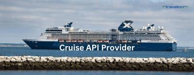 Cruise API Provider - Bangalore Other