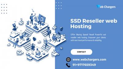 Next-Level Hosting for Resellers: Attract Clients with SSDs - Other Hosting